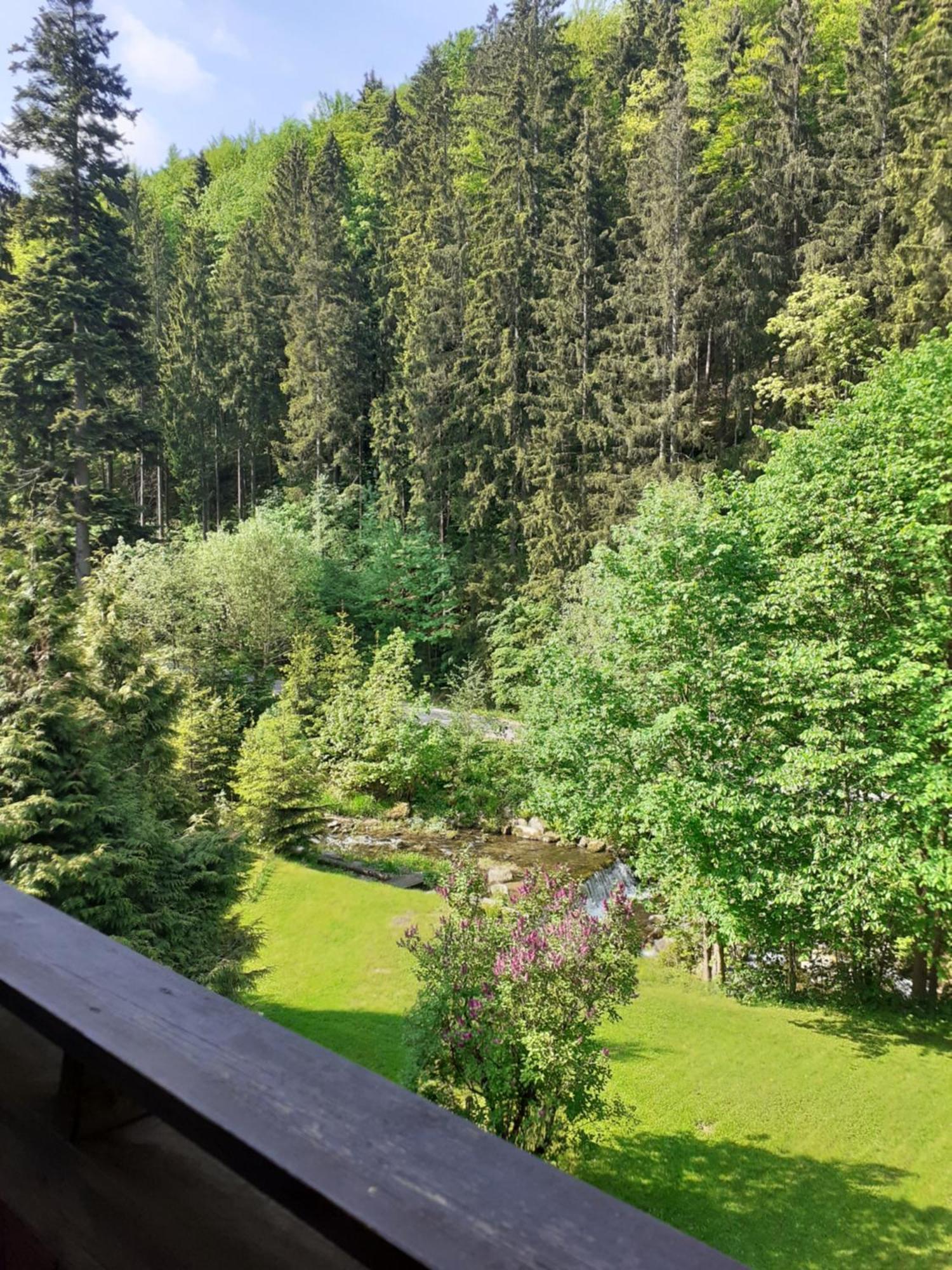 Apartamenty Kaskada Miedzygorze Ruang foto