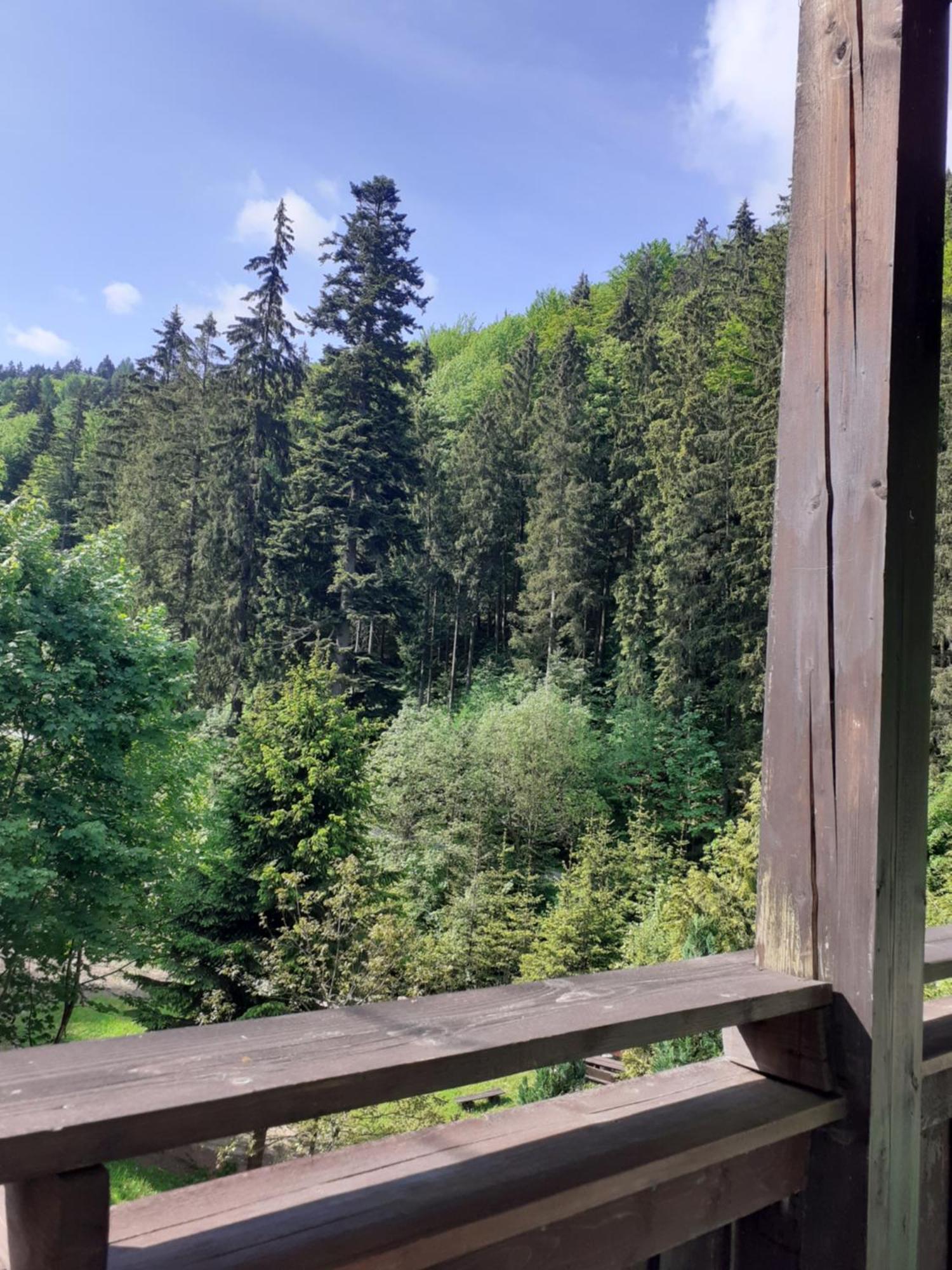 Apartamenty Kaskada Miedzygorze Ruang foto