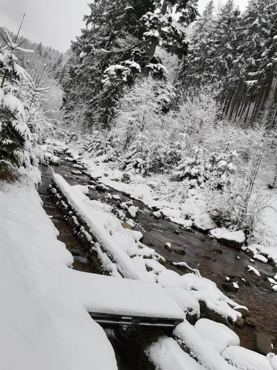 Apartamenty Kaskada Miedzygorze Bagian luar foto